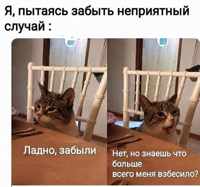 ������� ������ ����� � �������� �� ���� (27 ����)