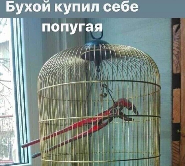 �������� ������� �������� � ����� ��� ���������� (32 ����)