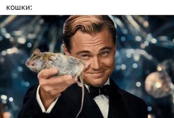 �������� ������� �������� � ����� ��� ���������� (32 ����)