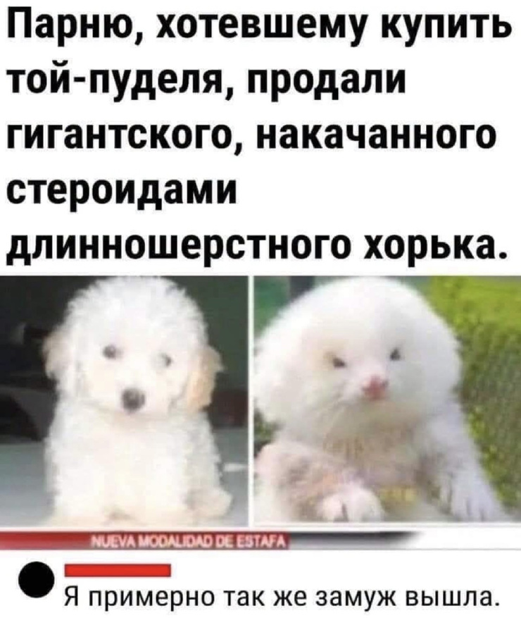 ���� � ������� ��� ��������� ���������� (30 ����)