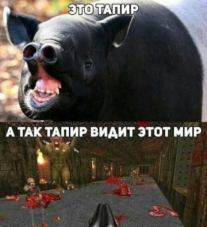���������! ������� ������� � ���� �� ���� (32 ����)