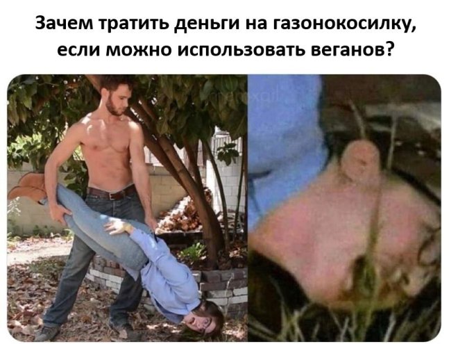 ���������! ������� ������� � ���� �� ���� (32 ����)