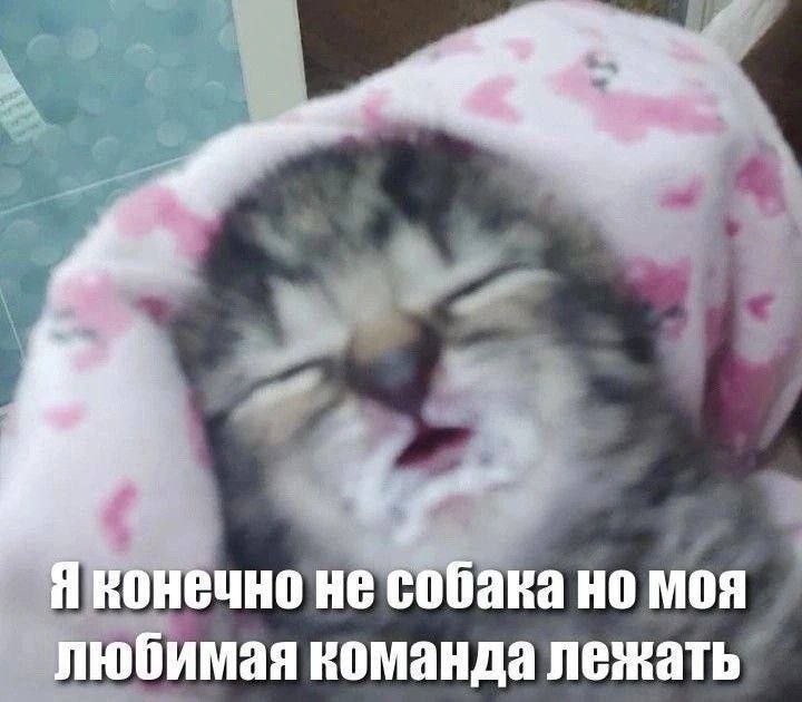 ������ ������� � ���� ��� ���������� (30 ����)