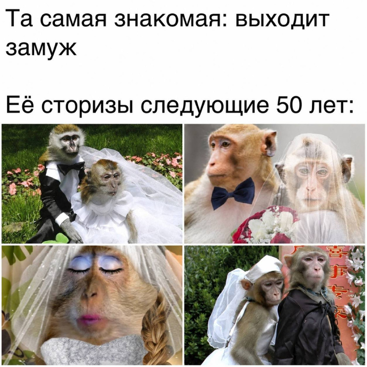 ������ ������� � ���� ��� ���������� (30 ����)