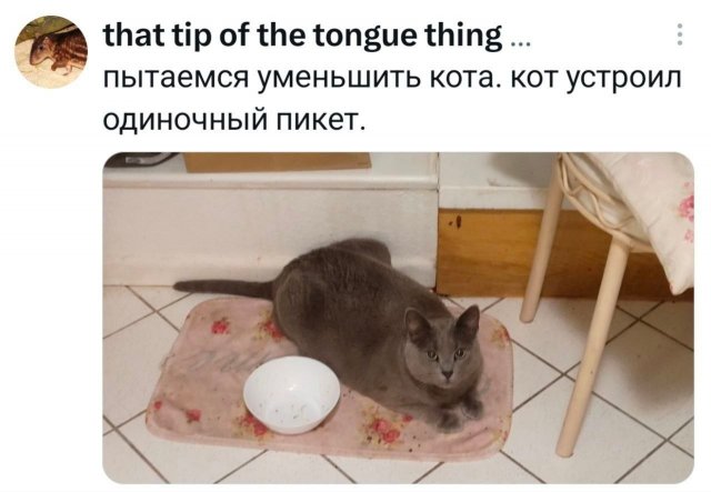������ �� �������� (30 ����)