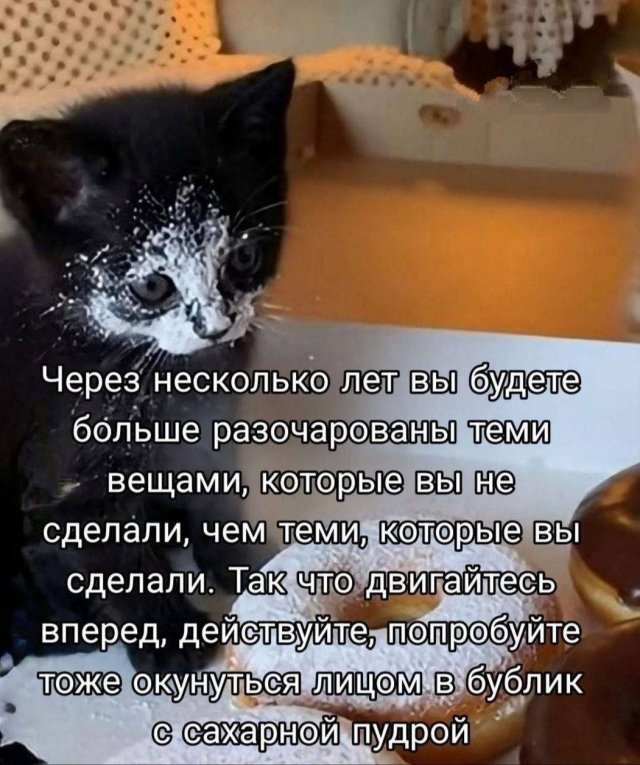 ������� ����� � �������� ��� ���������� (23 ����)