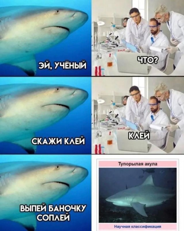 ������� ����� � �������� ��� ���������� (23 ����)