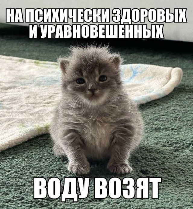 ������� ����� � �������� ��� ���������� (23 ����)