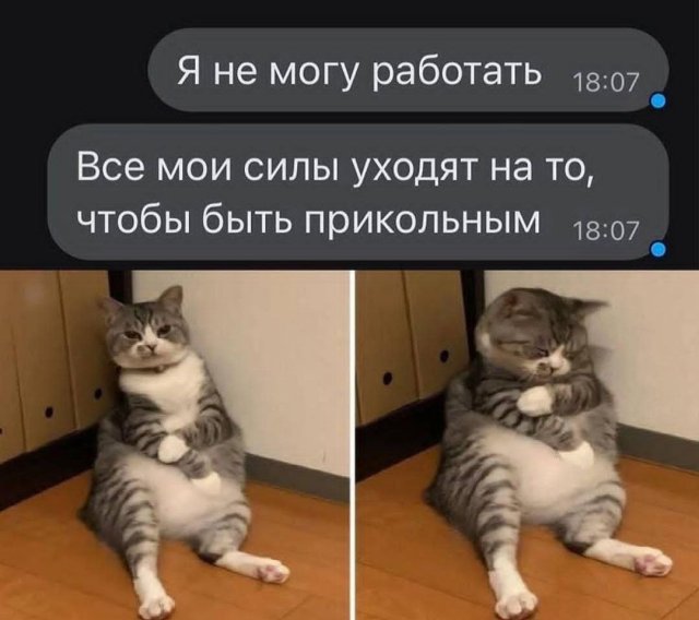 ������� ����� � �������� ��� ���������� (23 ����)