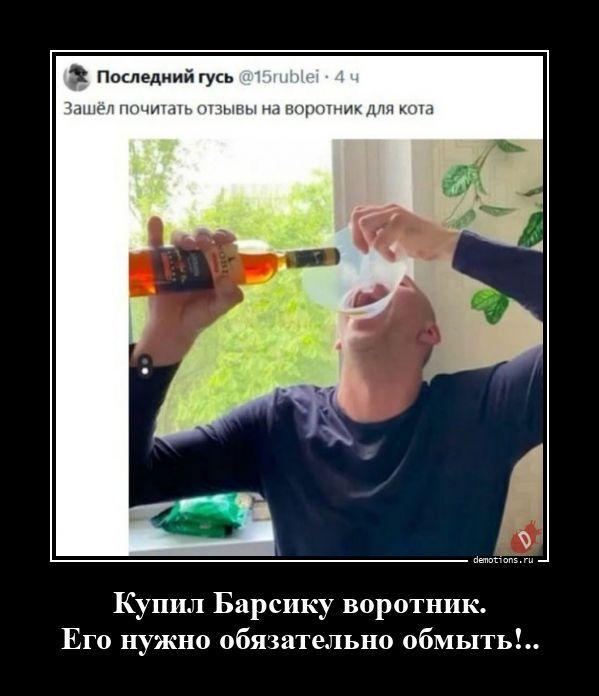 ������������ ����� (15 ����)