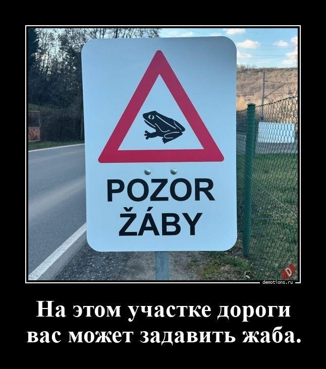 ������������ ����� (15 ����)
