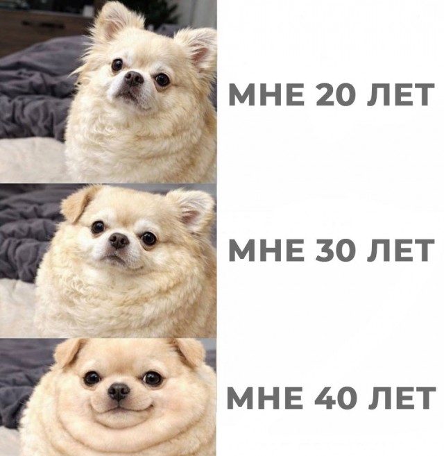 ������ �������� ����� � �������� (35 ����)