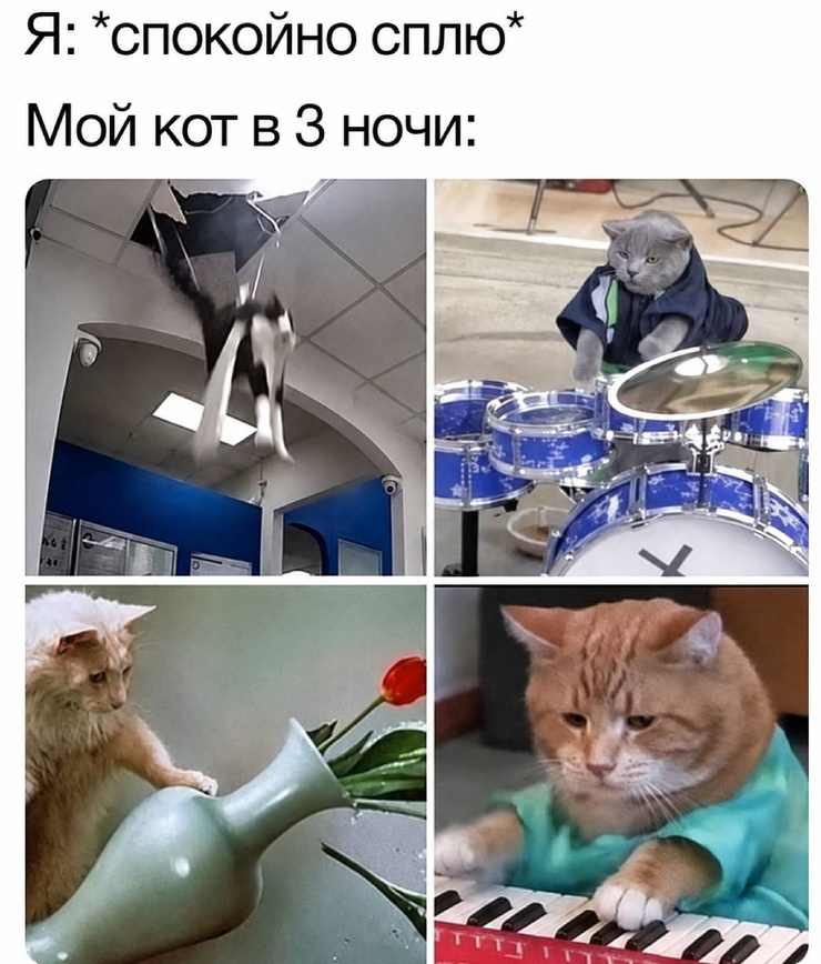 ������ �������� ����� � �������� (35 ����)