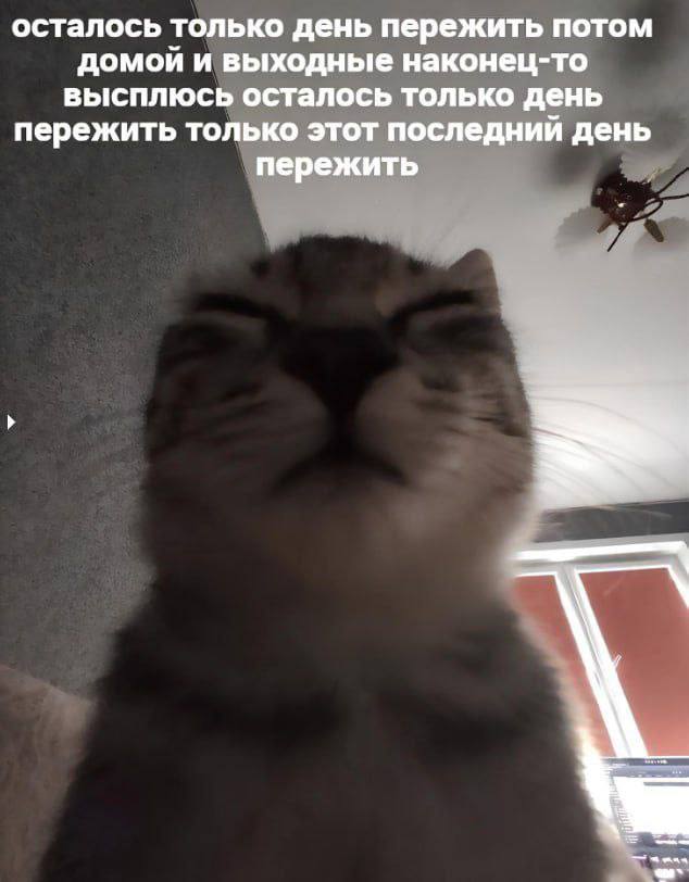 ������ �������� ����� � �������� (35 ����)