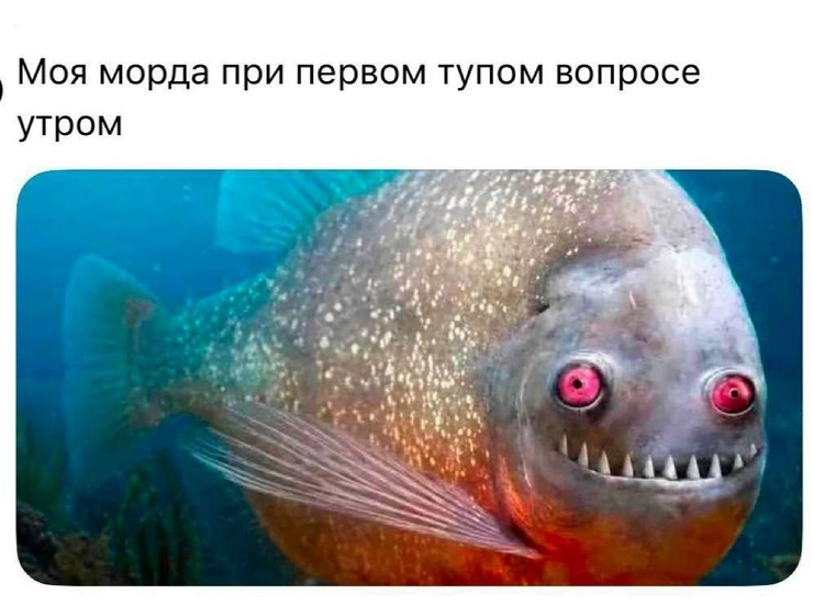 ������ �������� ����� � �������� (35 ����)