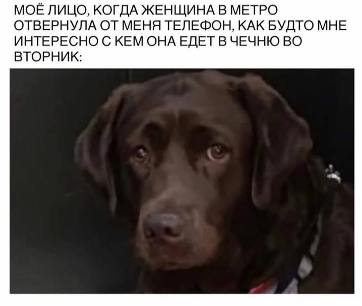 ������ �������� ����� � �������� (35 ����)