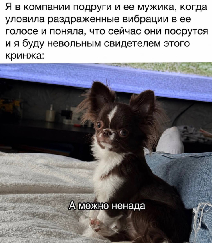 ������ �������� ����� � �������� (35 ����)