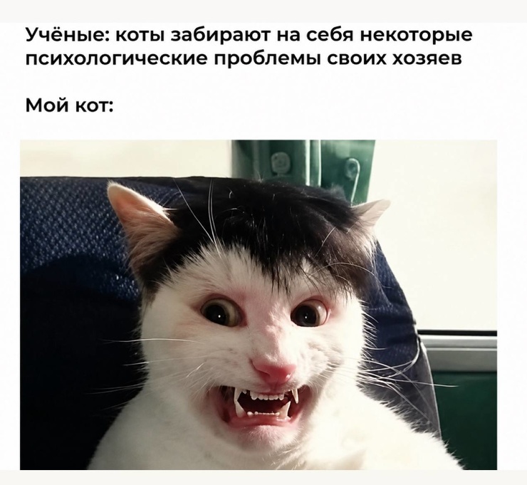 ������ �������� ����� � �������� (35 ����)